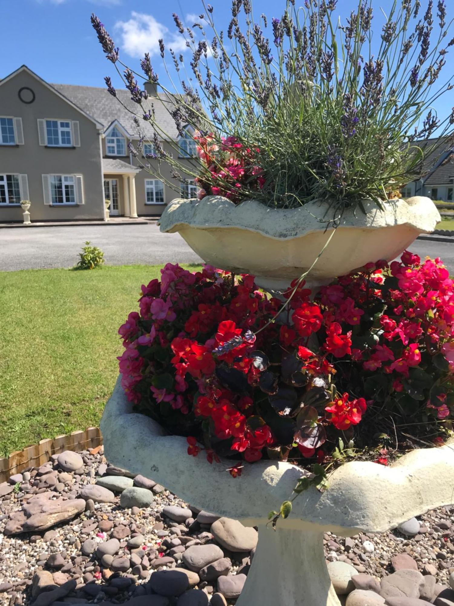 Kielty'S Of Kerry Bed And Breakfast 瓦特维尔 外观 照片